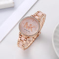 Slim Runway Analog Sofie Diamond Watch With Sleek Acetate Case