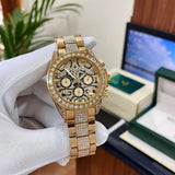 Elegant Steel Master Tiger Gold Chain Watch